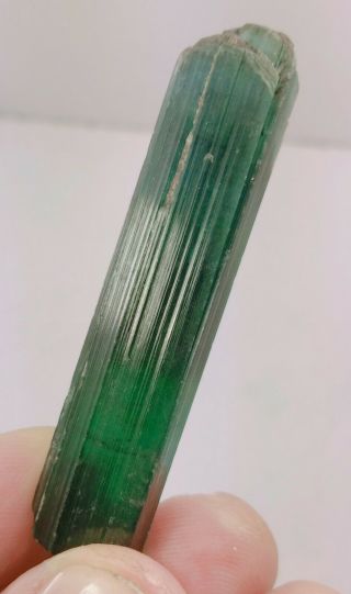 112 Ct Bi Color Terminated Tourmaline Crystal @ Afghanistan