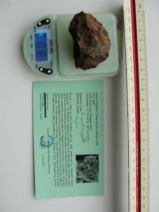 Brenham Pallasite Meteorite 101 Gm Nugget / Fragment.  $1 Per Gram,  Buy It Now.