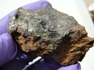 Brenham Pallasite Meteorite 100 Gm Nugget / Fragment.  $1 Per Gram,  Buy It Now.