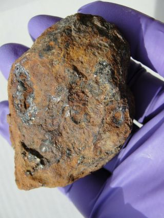 Brenham Pallasite Meteorite 178 Gm Nugget / Fragment.  $1 Per Gram,  Buy It Now.