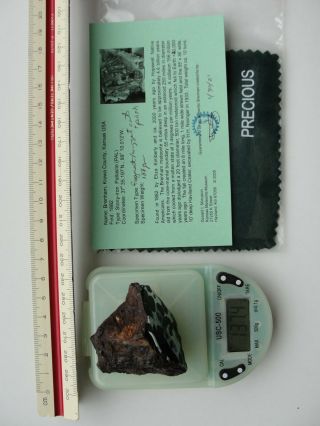 Brenham Pallasite Meteorite 137gm Nugget / Fragment,  Cut & Polished $1 Per Gm.