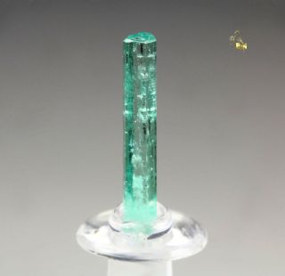 Quebul Fine Minerals - Gem Beryl Var.  Emerald - Mun.  De Muzo,  Colombia