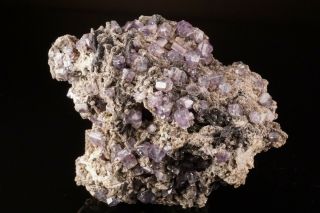Unique Purple Fluorapatite Crystal Cluster With Bertrandite Brazil - Ex Lemanski