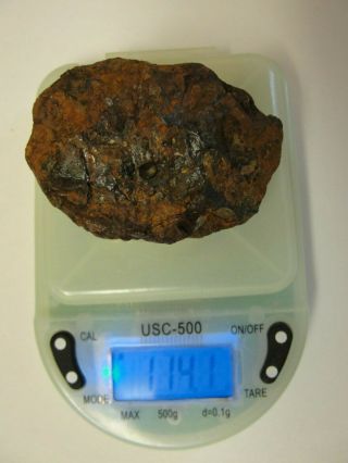 Brenham Pallasite Meteorite 114 Gm Nugget / Fragment.  $1 Per Gram,  No Bidding.