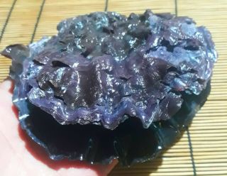 Seashells - Bivalve Purple Clam Shells 140x140 Mm.  Nature And Hard To Get