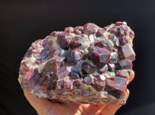 5.  2lbs Deep Red Garnet Crystals On Matrix Mineral Specimen From Xinjiang,  China