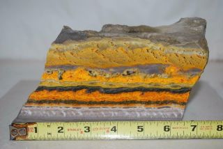 Premium Bumble Bee Jasper Faced Rough… 5 Lbs … Top Quality First Find Material