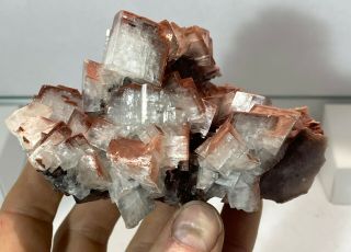 Lustrous Hematite On Calcite Crystals: Tsumeb Mine,  Namibia - Classic