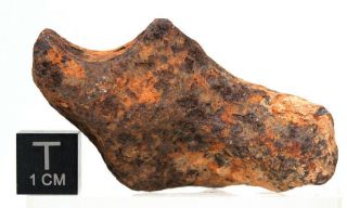 Mundrabilla Iron Meteorite Mineral Sculptural Specimen Australia Natural Patina