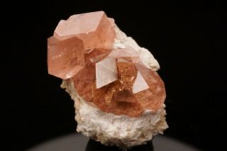 UNIQUE Pink Grossular Garnet on Prehnite JEFFREY MINE,  CANADA - Ex.  Key 2