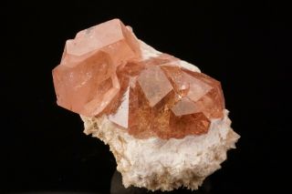 UNIQUE Pink Grossular Garnet on Prehnite JEFFREY MINE,  CANADA - Ex.  Key 6