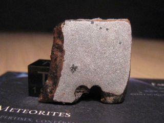 Meteorite Nwa 11530 - Ungrouped Iron (recrystallized) With Stary Inclusions.