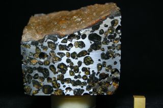 Sericho Pallasite Meteorite 1,  472 Grams