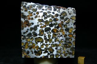 Sericho Pallasite meteorite 1,  472 grams 2
