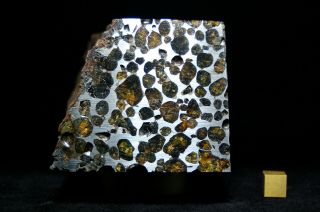 Sericho Pallasite meteorite 1,  472 grams 3