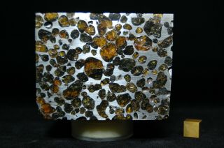Sericho Pallasite meteorite 1,  472 grams 4