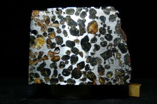 Sericho Pallasite meteorite 1,  472 grams 5