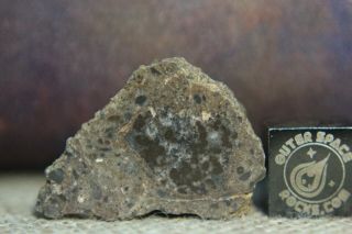 Nwa 13621 Lunar Feldspathic Breccia 3.  6g Meteorite From Moon With Hydrothermal