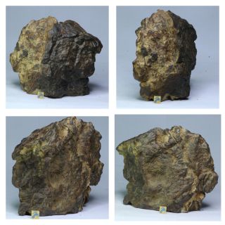 R377 - Great Huge Nwa Unclassified Type L Chondrite Meteorite 1892g Cut Windowed