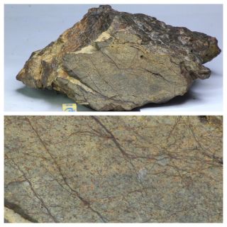R377 - Great Huge NWA Unclassified Type L Chondrite Meteorite 1892g Cut Windowed 2