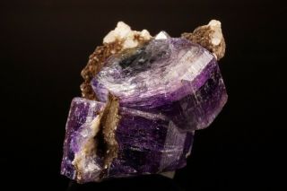 CLASSIC Purple Fluorapatite Crystal PULSIFER QUARRY,  MAINE - Ex.  Robertson 4