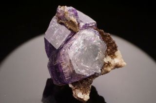 CLASSIC Purple Fluorapatite Crystal PULSIFER QUARRY,  MAINE - Ex.  Robertson 5