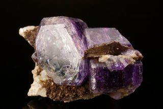 CLASSIC Purple Fluorapatite Crystal PULSIFER QUARRY,  MAINE - Ex.  Robertson 6