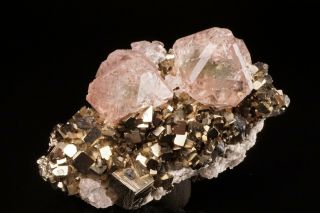 Pink & Green Fluorite On Pyrite Crystal Huanzala,  Peru - Ex.  Lemanski