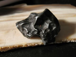 Classic Sikhote Alin Meteorite 40 gms Iron Loaded w/ Thumbprints Shooting Star 2