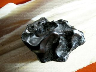 Classic Sikhote Alin Meteorite 40 gms Iron Loaded w/ Thumbprints Shooting Star 3
