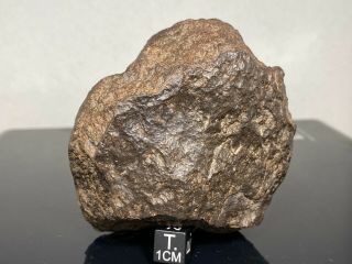 Meteorite - Unclassified Chondrite - 450.  5 Grams -