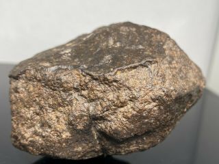 Meteorite - Unclassified Chondrite - 450.  5 grams - 2