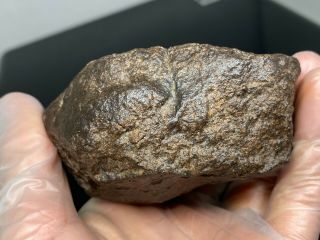 Meteorite - Unclassified Chondrite - 450.  5 grams - 4
