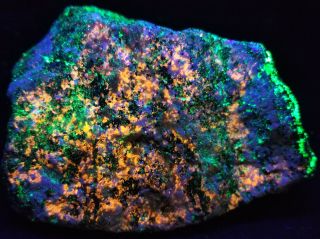 Franklin Nj Fluorescent Mineral - Orange Clinohedrite - Purple Hardystonite - Green Wi