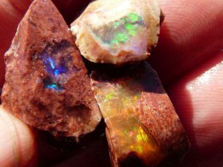 Rimrock: 1.  60 Lbs Mexican Fire Opal In Matrix Rough