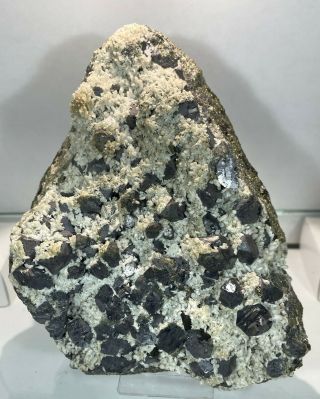 Large Plate Of Galena & Quartz Crystals: Idarado Mine Telluride Colorado Classic