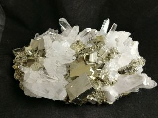 Gorgeous Pyrite With Quartz Crystal Cluster Specimen,  Peru,  3.  44lbs