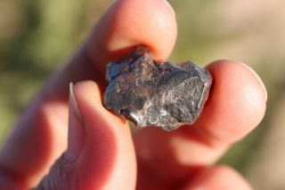 Whitecourt Iron Meteorite Individual Cleaned 9.  3 Grams Wow