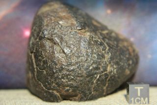 Nwa Unclassified Meteorite 258 Gram Desert Polished Partially Windowed Fragment