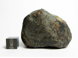 Nwa X Meteorite 117.  47g Cool Cosmic Chondrite