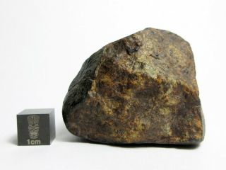 NWA x Meteorite 117.  47g Cool Cosmic Chondrite 2