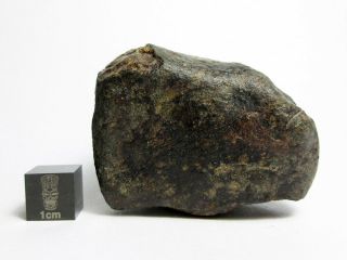 NWA x Meteorite 117.  47g Cool Cosmic Chondrite 3