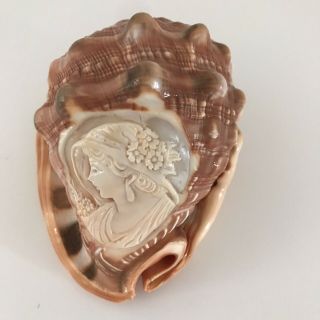 Vintage Italian Conch Shell With Detailed Hand Carved Cameo Lady