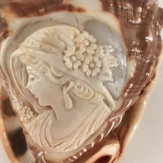 Vintage Italian Conch Shell with Detailed Hand Carved Cameo Lady 2