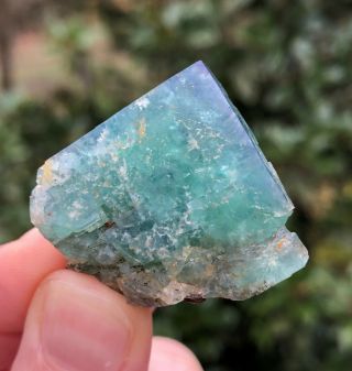 Blue Green Fluorite Crystal,  Rogerley Mine,  England,  Uk