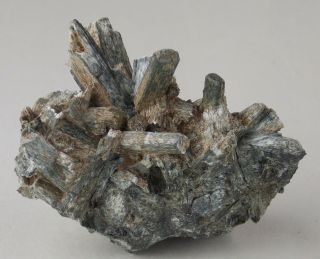 Actinolite Crystals - 5.  2 Cm - Prince Of Wales Island,  Alaska 24845