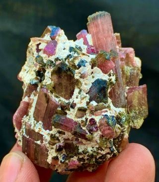 421.  0 C.  T Tourmaline Natural Terminated Bi Color Crystals Bunch Specimen.