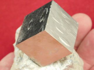 A Big Perfect 100 Natural Aaa Pyrite Crystal Cube On Matrix From Spain 329gr