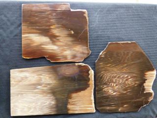 RimRock: Three Rare COW VALLEY AGATIZED PETRIFIED WOOD Rough Plank Slabs 3