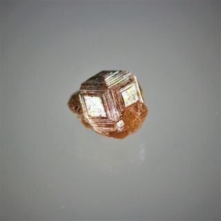 Hessonite Garnets From Jeffrey Mine,  Estrie,  Quebec 3517